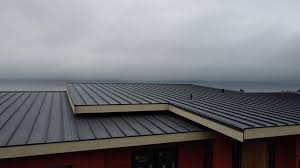 Best Solar Panel Roofing Installation  in Griffith, IN